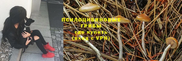 МДПВ Аркадак