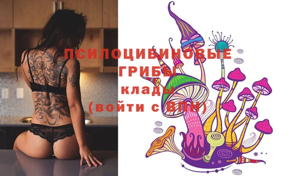 МДПВ Аркадак