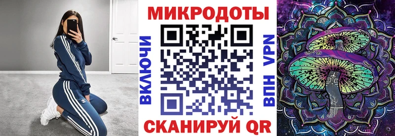 Псилоцибиновые грибы Psilocybe купить цена Советская Гавань
